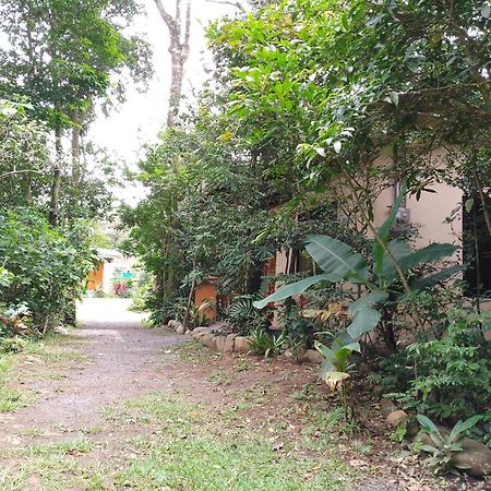 Casitas Del Bosque Monteverde. الغرفة الصورة