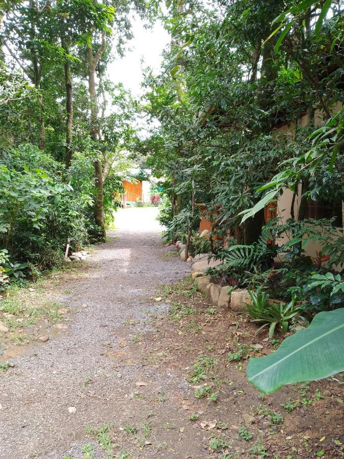 Casitas Del Bosque Monteverde. المظهر الخارجي الصورة