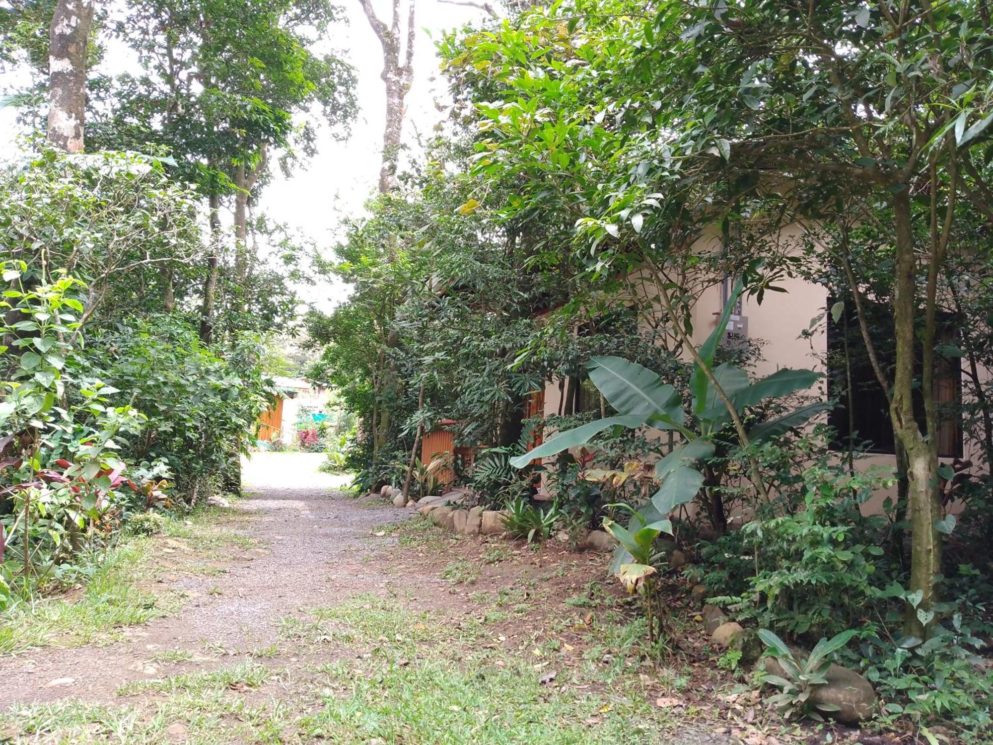 Casitas Del Bosque Monteverde. الغرفة الصورة